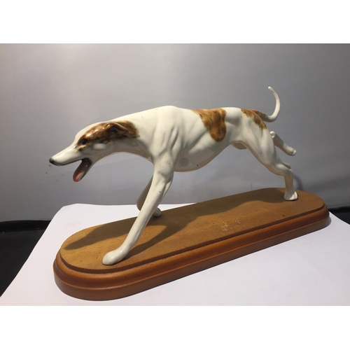 732 - A FRENCH HAND PAINTED PORCELAIN MODEL OF A RACING GREYHOUND ON OAK PLINTH BASE, LENGTH 28 CM