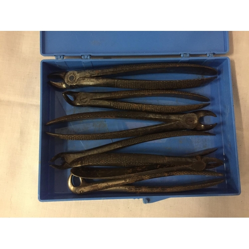 240 - A BOX CONTAINING DENTIST TOOLS CIRCA 1900