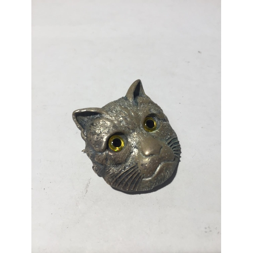 619 - A CAT BROOCH WITH GLASS EYES