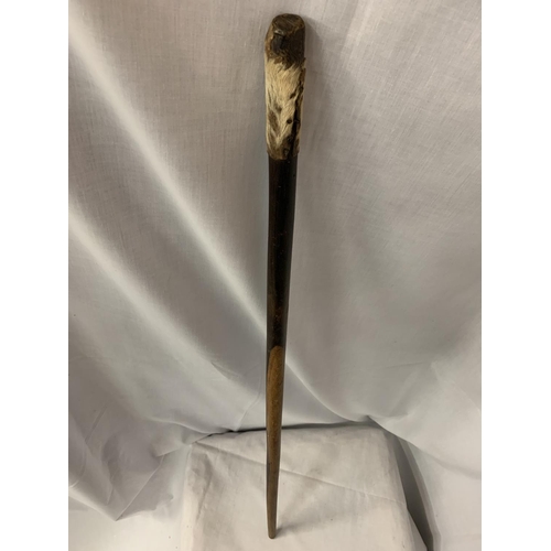 123 - AN AFRICAN TRIBAL STICK WITH ANIMAL SKIN HANDLE