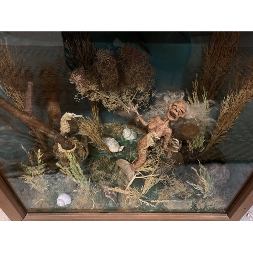 1A - A CASED AMERICAN FREAK SHOW WITH MERMAID, SHELLS AND SEAHORSES