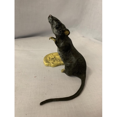 43 - A COLD PAINTED BRONZE RAT FIGURINE EATING A BISCUIT H: 13CM