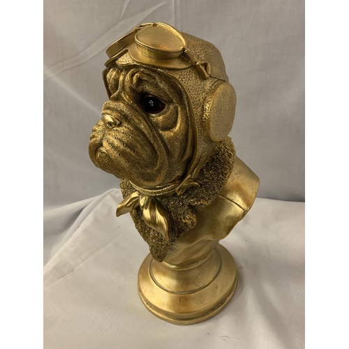 47 - A GOLD COLOURED BULLDOG BUST ON A BASE