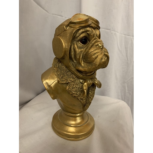 47 - A GOLD COLOURED BULLDOG BUST ON A BASE