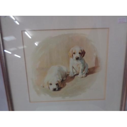 803A - A LARGE PRINT OF TWO GOLDEN LABRADORS W:59 CM H:56CM