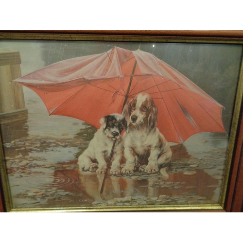 833 - A FRAMED PICTURE OF TWO DOGS IN THE RAIN NAMED APRIL SHOWERS