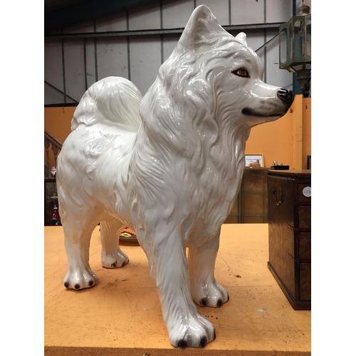 49 - A LARGE WHITE CERAMIC SAMOYED DOG