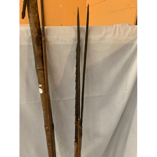 192A - A COLLECTION OF VARIOUS ARROWS AND SPEARS