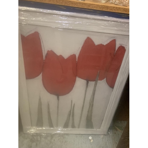 259 - A WHITE FRAMED PICTURE OF RED TULIPS