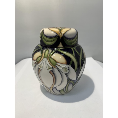 704 - A MOORCROFT GALANTHUS GINGER JAR 4 INCHES TALL