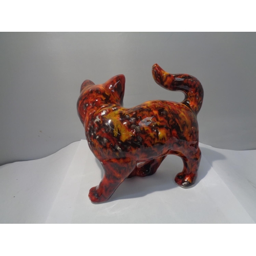 725 - AN ANITA HARRIS HAND PAINTED CAT SIGNED IN GOLD