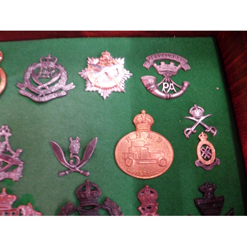 353 - A GLAZED DISPLAY CASE CONTAINING FORTY SIX BRITISH ARMY CAP BADGES, 33 CM X 48 CM