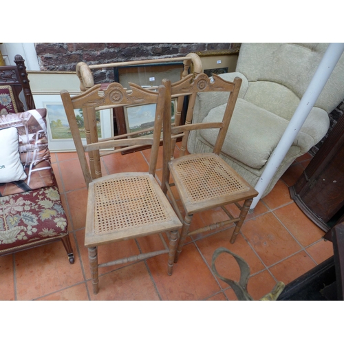 2982 - A PAIR OF CARVED BEECHWOOD CHAIRS WITH CANE SEATS, TOWEL RAIL AND TWO LABRADOR CUSHIONS