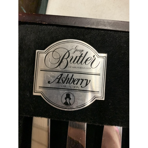 228 - A GEORGE BUTLER ASHBURY COLLECTION BOXED CANTEEN OF CUTLERY