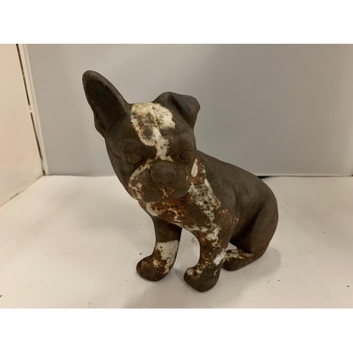 145 - A CAST IRON DOOR STOP IN THE SHAPE OF A BULLDOG