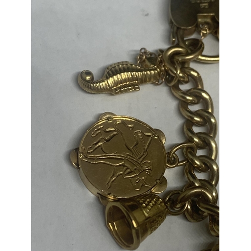 501 - A 9 CARAT GOLD CHARM BRACELET WITH NINE CHARMS TO INCLUDE A 1900 VICTORIA GOLD SOVEREIGN IN A MOUNT ... 