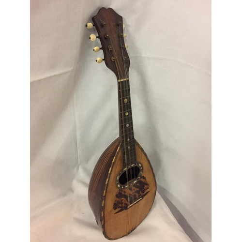 488 - A VINTAGE MANDOLIN TOGETHER WITH VIOLIN (A/F)