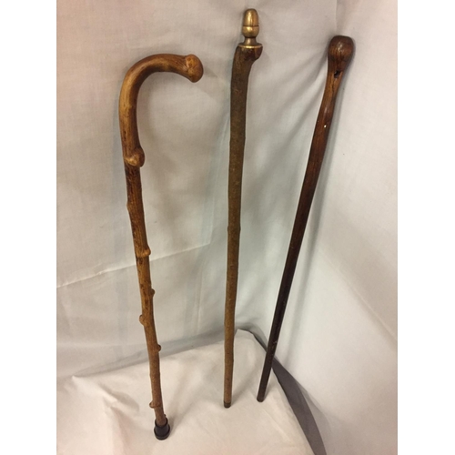 498 - THREE WOODEN WALKING STICKS, ONE WITH DECORATIVE BRASS ACORN TOP