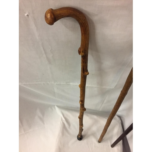 498 - THREE WOODEN WALKING STICKS, ONE WITH DECORATIVE BRASS ACORN TOP