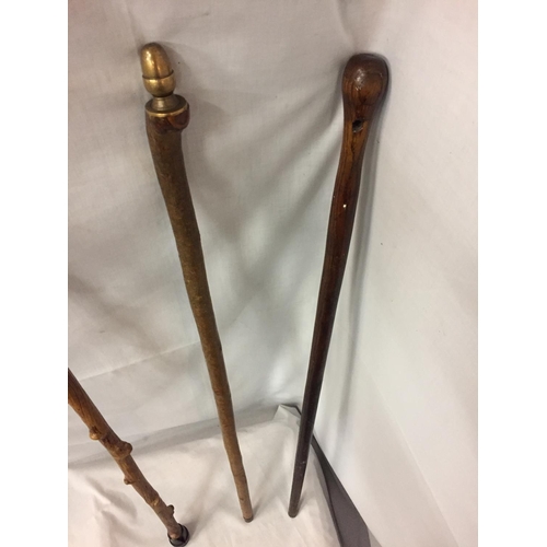 498 - THREE WOODEN WALKING STICKS, ONE WITH DECORATIVE BRASS ACORN TOP