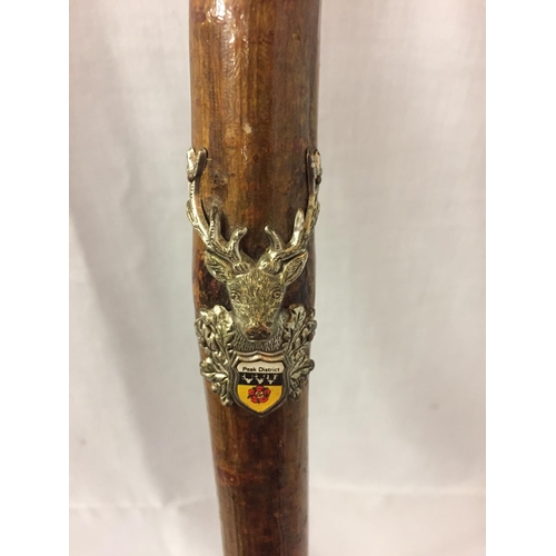 500 - A HORN HANDLED STAFF WALKING STICK