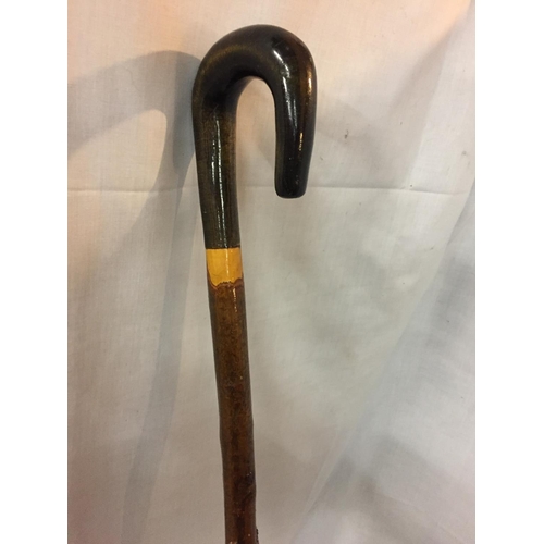 500 - A HORN HANDLED STAFF WALKING STICK