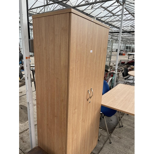 2495 - A MODERN TWO DOOR STORAGE CABINET, 31