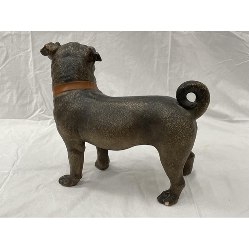 31 - A LATE 19TH CENTURY AUSTRIAN HAND PAINTED TERRACOTTA PUG NOSED DOG HEIGHT 31CM A/F