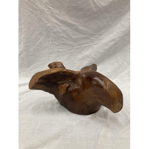 26 - A JOHN ASHFORD, FINLAND SCULPTURE FROM A BIRCH ROOT, ORIGINALLY IN DERBYSHIRE MUSEUM, IN A BESPOKE B... 