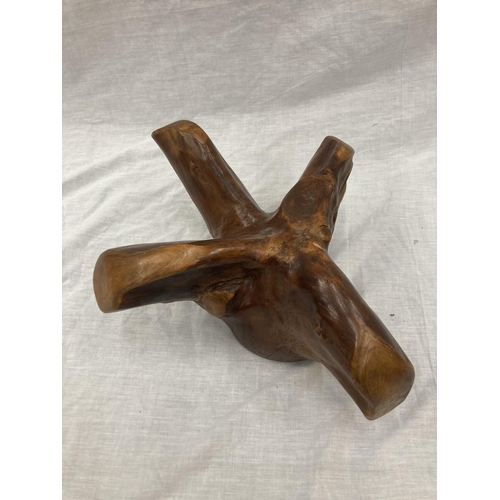 26 - A JOHN ASHFORD, FINLAND SCULPTURE FROM A BIRCH ROOT, ORIGINALLY IN DERBYSHIRE MUSEUM, IN A BESPOKE B... 