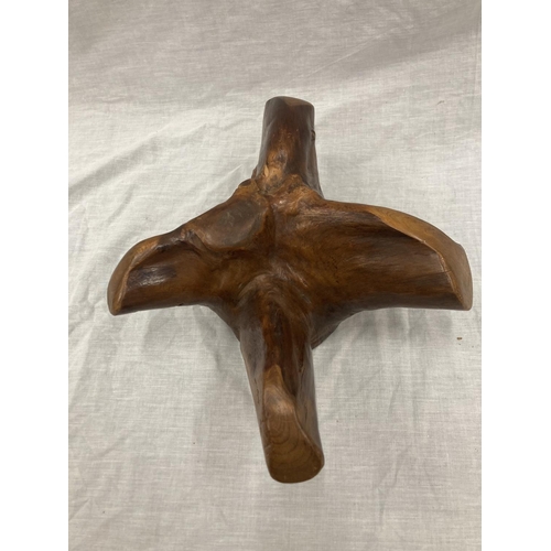 26 - A JOHN ASHFORD, FINLAND SCULPTURE FROM A BIRCH ROOT, ORIGINALLY IN DERBYSHIRE MUSEUM, IN A BESPOKE B... 