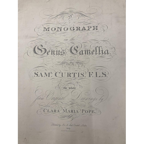 3 - A MONOGRAPH ON THE GENUS CAMELLIA, 1960'S REPRINT SOFT BACK WITH FIVE COLOURED PRINTS, ORIGINALLY PR... 