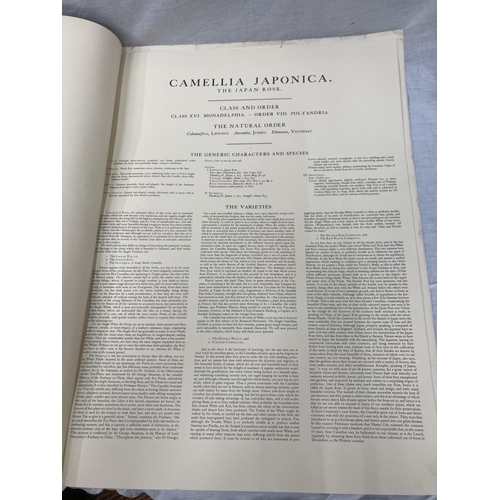 3 - A MONOGRAPH ON THE GENUS CAMELLIA, 1960'S REPRINT SOFT BACK WITH FIVE COLOURED PRINTS, ORIGINALLY PR... 