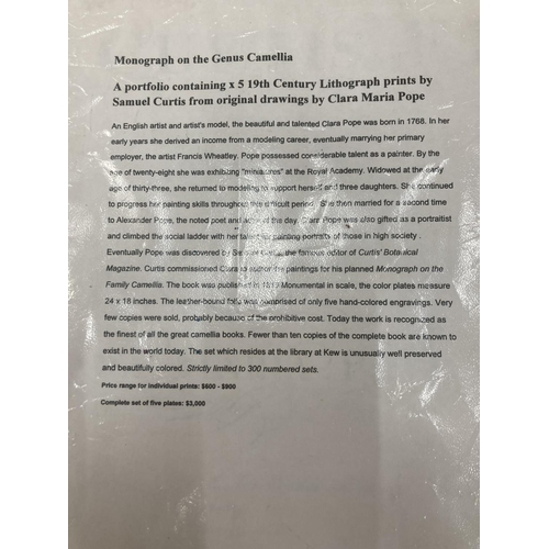 3 - A MONOGRAPH ON THE GENUS CAMELLIA, 1960'S REPRINT SOFT BACK WITH FIVE COLOURED PRINTS, ORIGINALLY PR... 