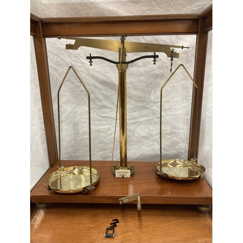 49 - A GRIFFIN AND GEORGE LTD SET OF MICROID SCIENTIFIC SCALES IN A MAHOGANY CASE WITH GLASS PANELS - HEI... 