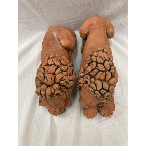 35 - A PAIR OF TERRACOTTA LION STATUES LENGTH 30CM