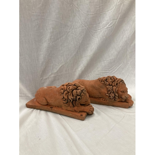 35 - A PAIR OF TERRACOTTA LION STATUES LENGTH 30CM