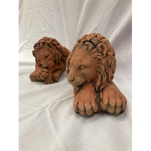 35 - A PAIR OF TERRACOTTA LION STATUES LENGTH 30CM