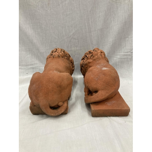 35 - A PAIR OF TERRACOTTA LION STATUES LENGTH 30CM