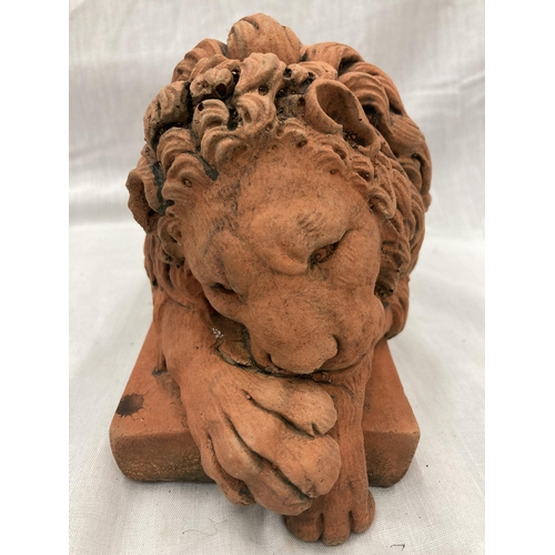 35 - A PAIR OF TERRACOTTA LION STATUES LENGTH 30CM