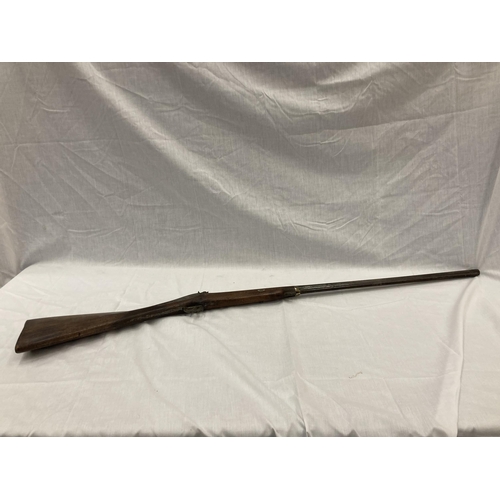 5 - A SINGLE BARREL PERCUSSION CAP TWELVE BORE SHOT GUN LACKING RAM ROD