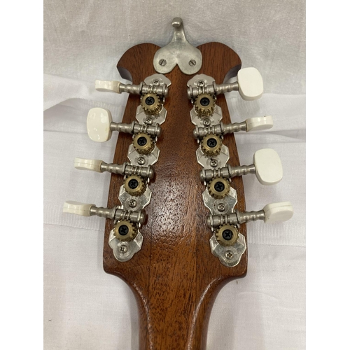 282 - AN EIGHT STRINGED MANDOLIN