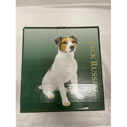 459 - A 'BEST OF BREED' RESIN FIGURE OF A JACK RUSSELL DOG HEIGHT 26CM