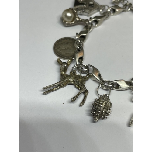 517 - A MARKED SILVER CHARM BRACELET WITH TEN CHARMS TO INCLUDE A HEDGEHOG, SHOE, DOG, TELEPHONE ETC