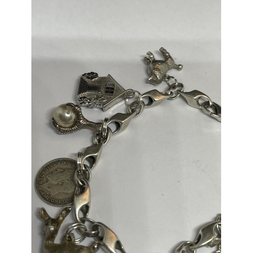 517 - A MARKED SILVER CHARM BRACELET WITH TEN CHARMS TO INCLUDE A HEDGEHOG, SHOE, DOG, TELEPHONE ETC