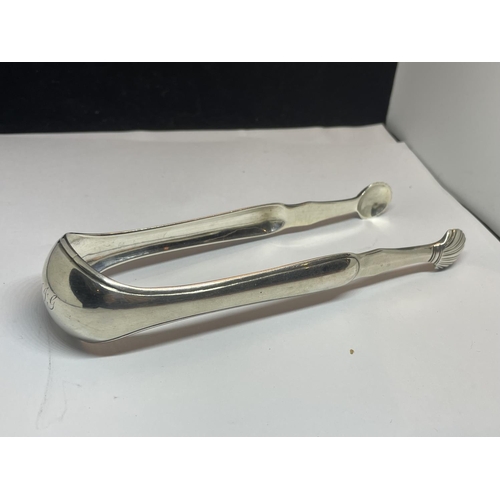 528 - A PAIR OF CONTINETAL SILVER SUGAR TONGS WITH SHELL DESIGN