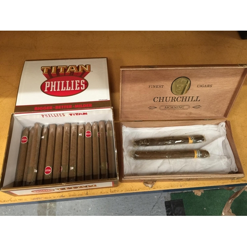 335 - THIRTEEN TITAN PHILLIES CIGARS IN A BOX AND TWO COHIBA IN A CHURCHILL BOX