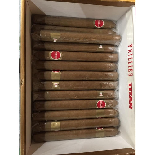 335 - THIRTEEN TITAN PHILLIES CIGARS IN A BOX AND TWO COHIBA IN A CHURCHILL BOX