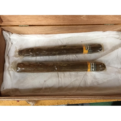 335 - THIRTEEN TITAN PHILLIES CIGARS IN A BOX AND TWO COHIBA IN A CHURCHILL BOX