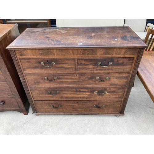 2448 - A 19TH CENTURY MAHOGANY CHEST OF TWO SHORT AND THREE LONG DRAWERS 49